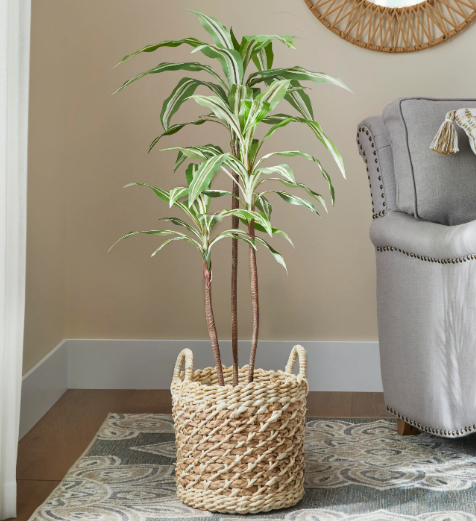 Indoor Artificial 3.5' Dracaena Tree