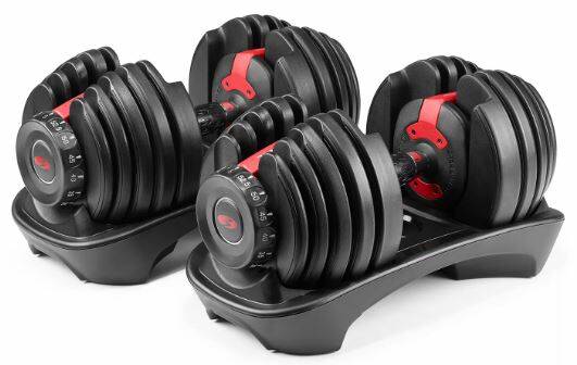 Bowflex SelectTech 552 Dumbbells