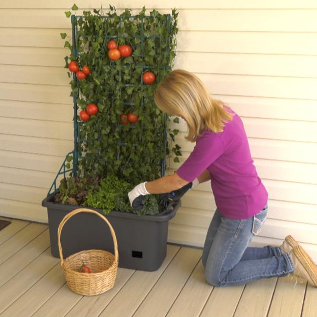 Self-Watering Mobile Veggie Patch w/ Trellis