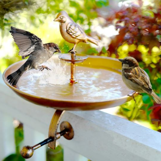 Bronze Butterfly & Bird Bath w/ Mount