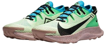 Nike Pegasus Trail 2 Men's Trail Running Shoe