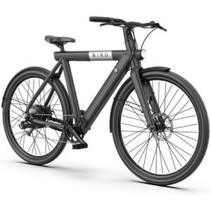 Bird Bike A-Frame 20mph Electric Bike