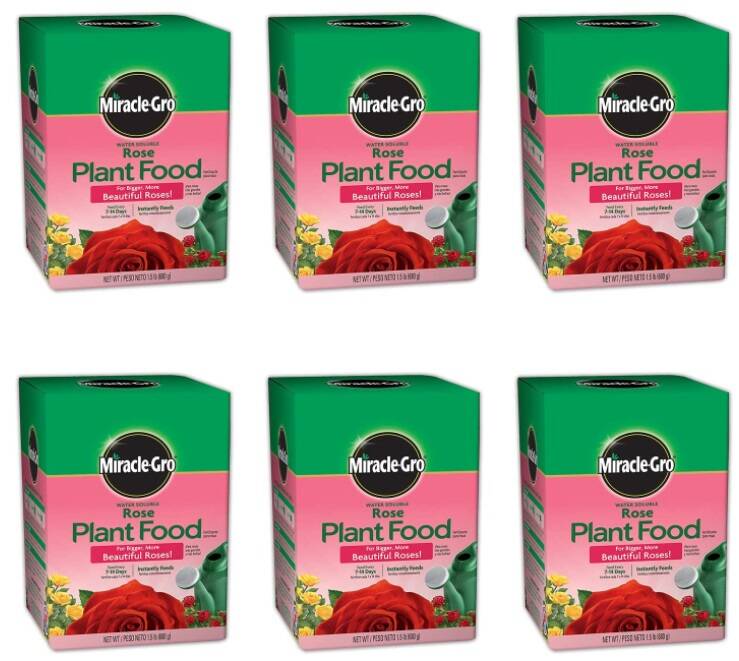 6-Pack Miracle-Gro Rose Plant Food Rose Fertilizer