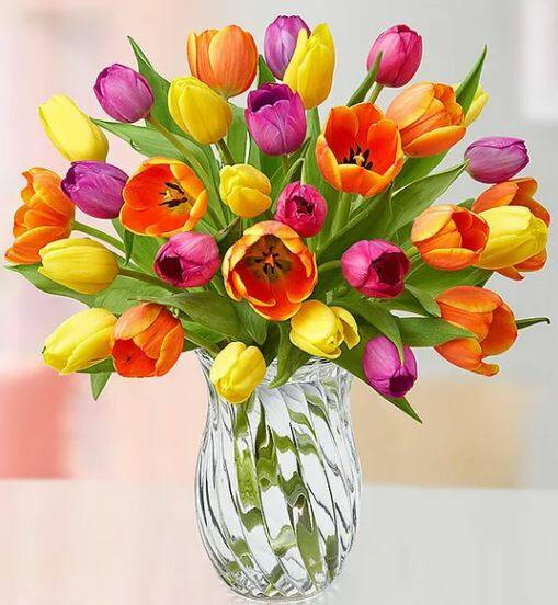 30-Stem Assorted Tulip Bouquet