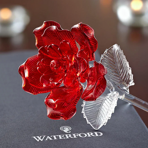 Waterford Red Glass Rose