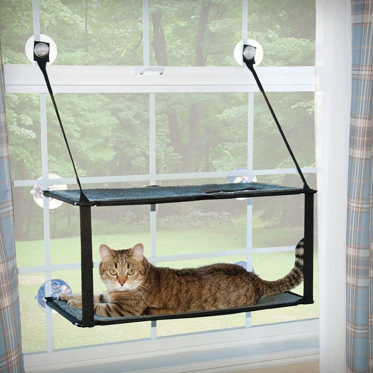 2-Tier Pet Window Perch