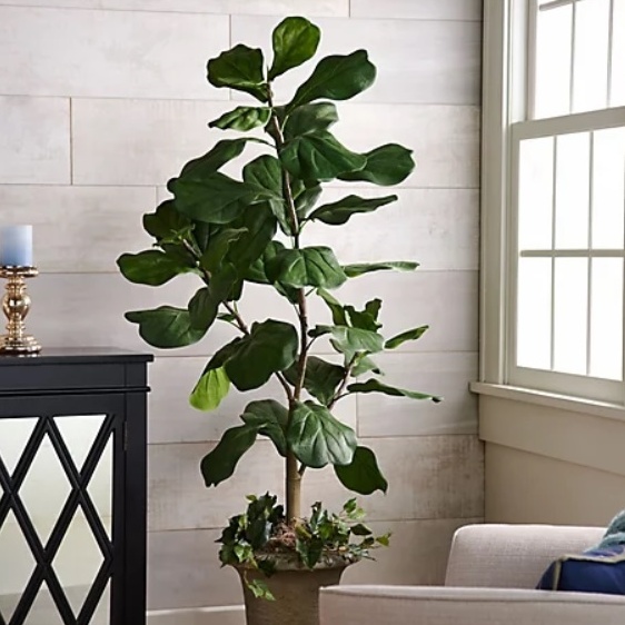 Faux Fiddle 5' Leaf Tree