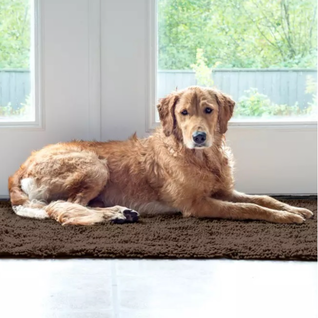 Quick-Dry Pet Rug & Towel