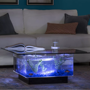 Rectangle 25Gl. Glass Aquarium Coffee Table