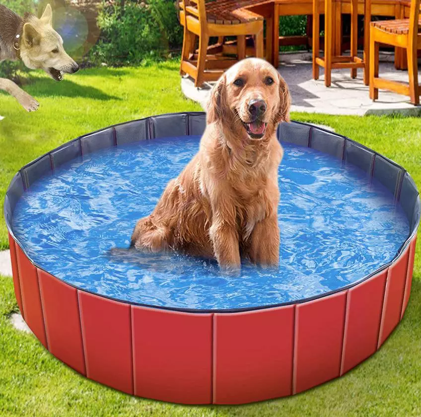 Foldable Pet 4' Swimming Pool