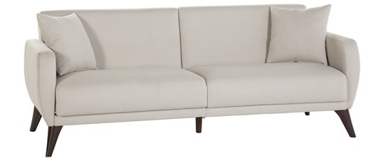 Multi-Functional Sleeper Sofa w/ Storage