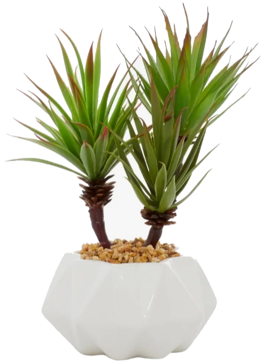 Potted Artificial Succulent Plant