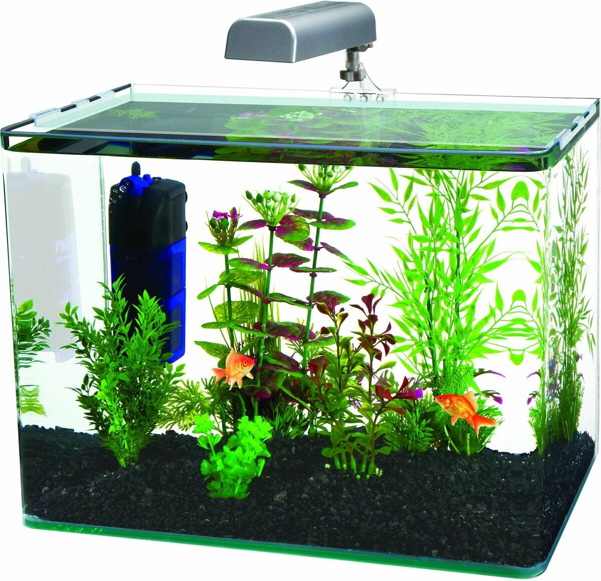 Glass 7Gl. Aquarium w/ LED Light & Filter