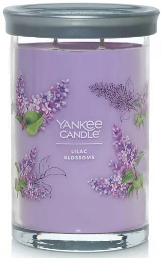 Large 2-Wick Yankee Candles @Kohl's