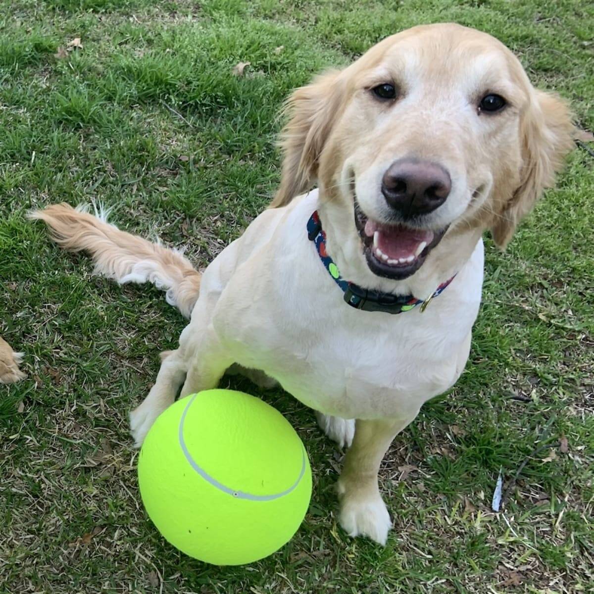 Jumbo Tennis Ball