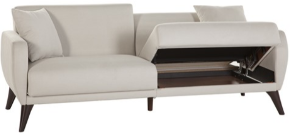 Multi-Functional Sleeper Sofa w/ Storage