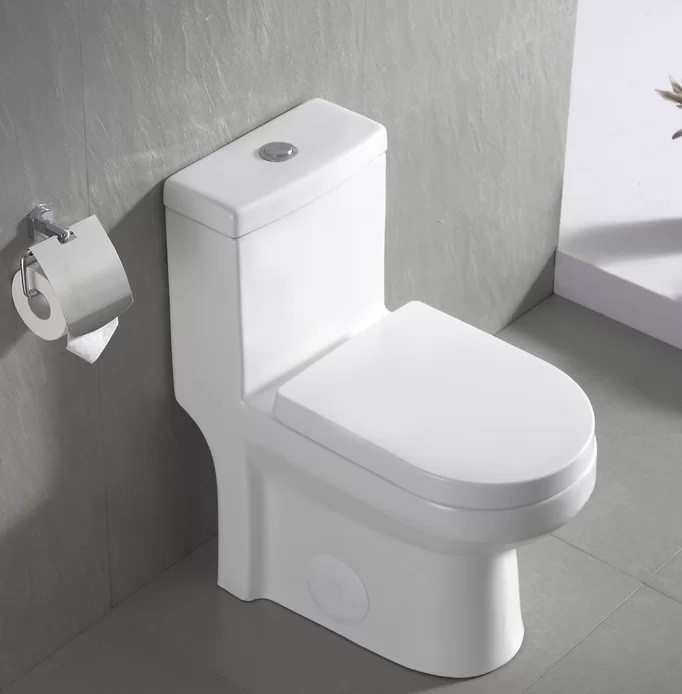 DeerValley Dual-Flush Elongated One-Piece Toilet