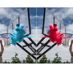 Gender Reveal Powder Basketball