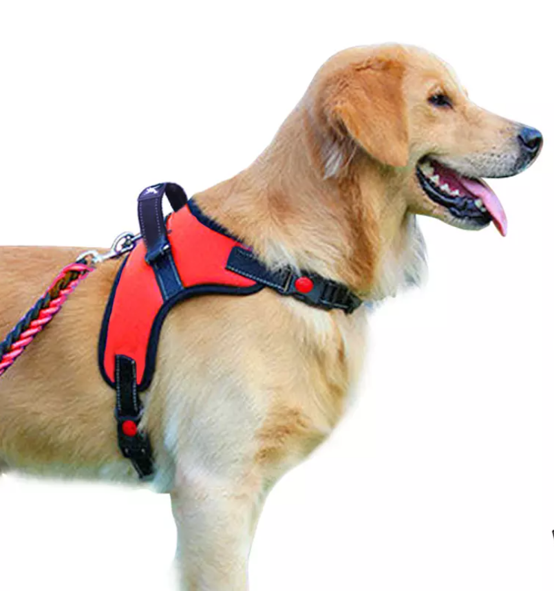 Dog Adjustable Harness Vest