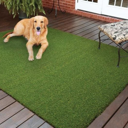 Pet 6'x 7' Artificial Grass Rug