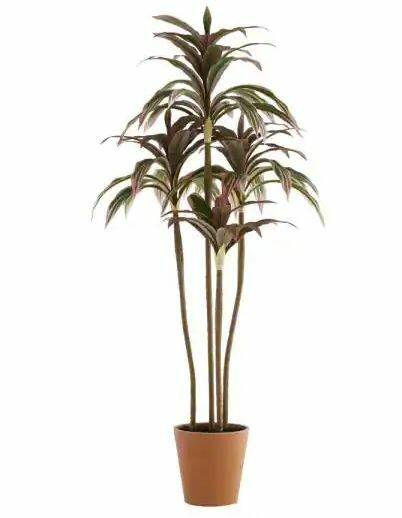 Artificial 3' Sago Cycas Tree