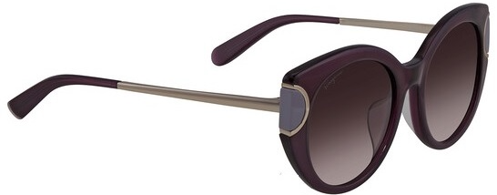 Salvatore Ferragamo Ladies Cat Eye Sunglasses