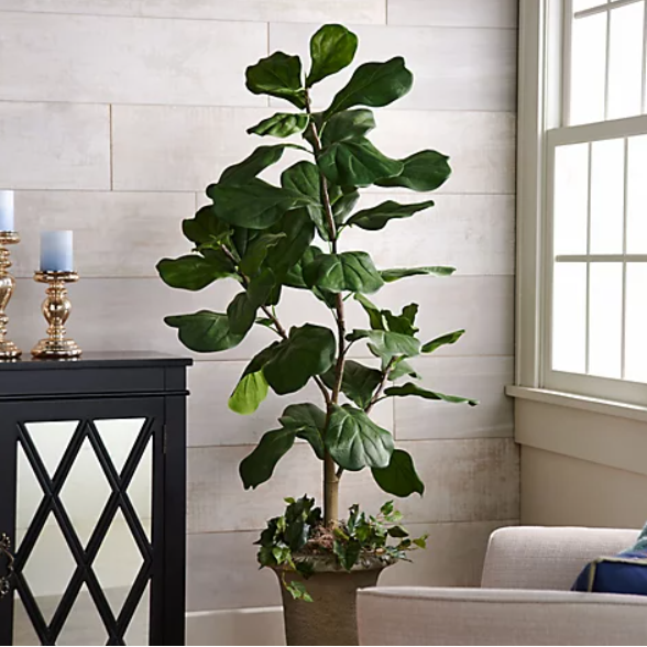 Artificial 5' Fiddle Leaf Tree