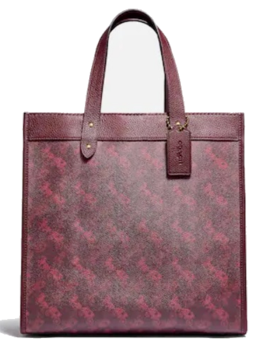 Coach Leather Tote