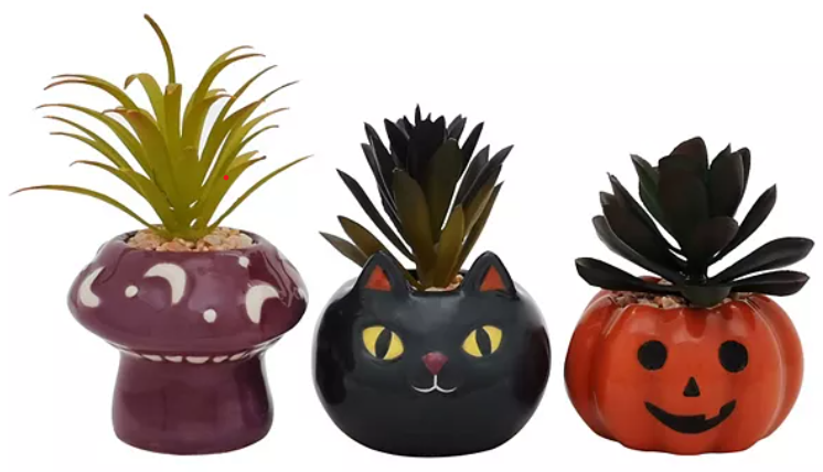 3-Piece Halloween Artificial Succulent Table Decor