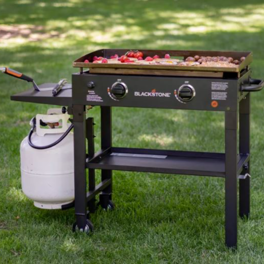 Blackstone 2-Burner Liquid Propane 34000 BTU Gas Grill