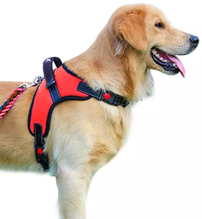 Adjustable Dog Vest Harness