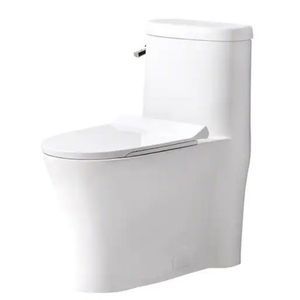 Glacier Bay 1.0/1.6 GPF Dual Flush Elongated Toilet