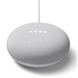 Google Nest Mini Smart Speaker