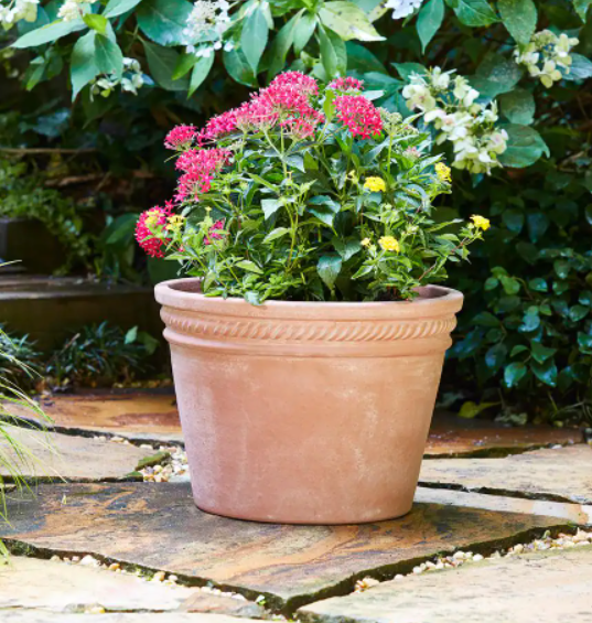 Large Terracotta Clay Planter