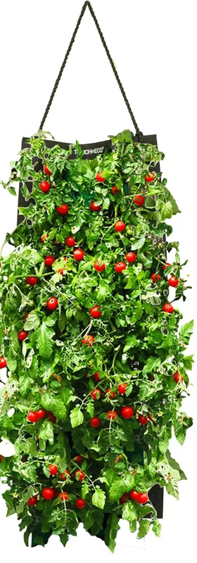 Organic Hanging Cherry Tomato Growing Kit